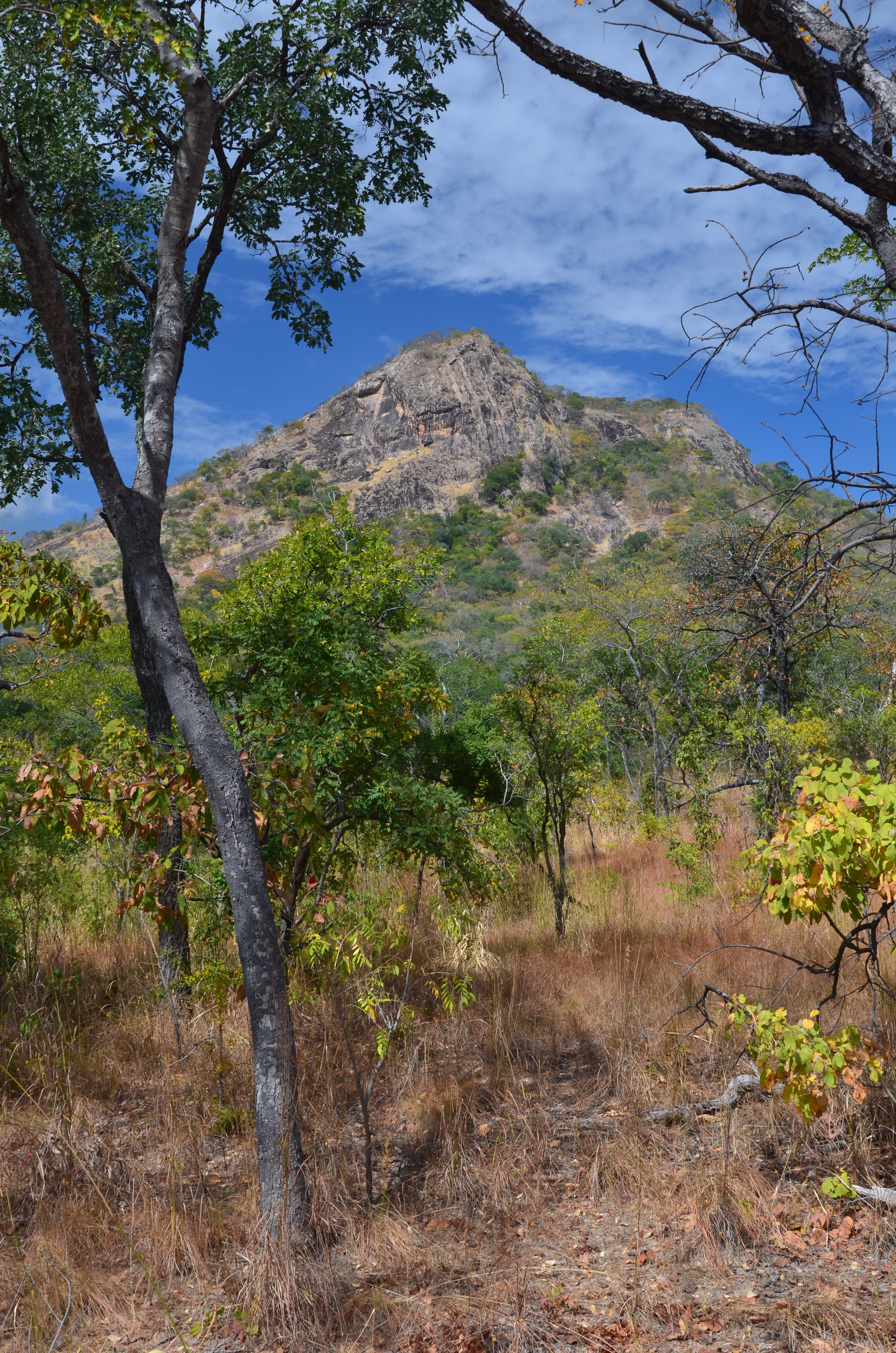 Mozambique_Landscape